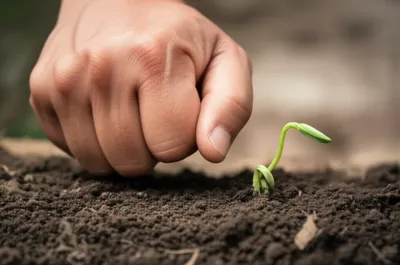 Illustration enforcing - Image 1