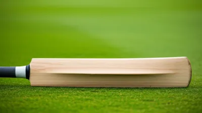 Illustration willow - Image 1