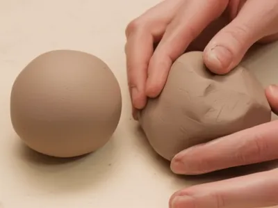 Illustration differentiated - Image 1