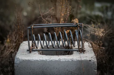 Illustration stiffer - Image 1