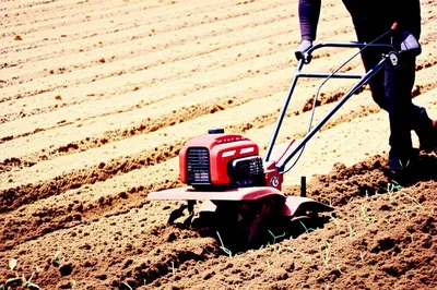 Illustration tilling - Image 1