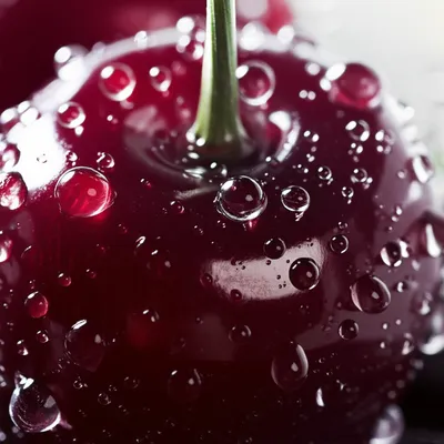 Illustration glistened