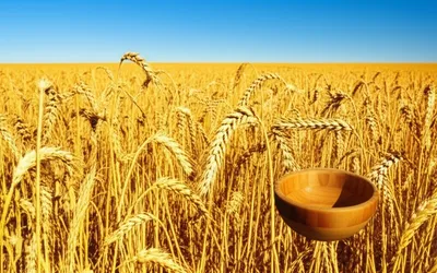 Illustration ample - Image 1