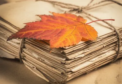 Illustration folio - Image 1