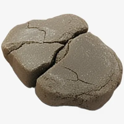 Illustration cookie - Image 1