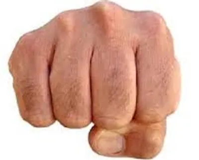 Illustration duke - Image 2