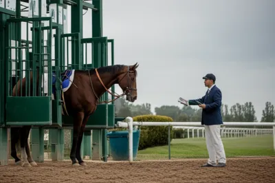 Illustration scratch - Image 1