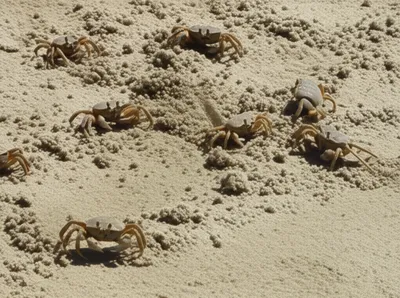 Illustration cast - Image 1