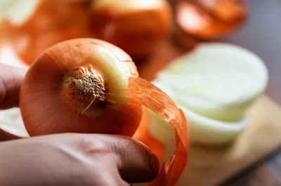 Illustration stripping - Image 1