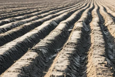 Illustration plough - Image 1