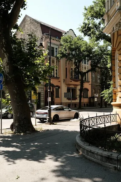 Illustration silvered - Image 2