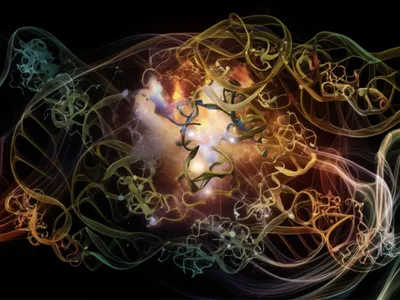 Illustration motifs - Image 1