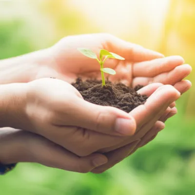 Illustration backing - Image 1