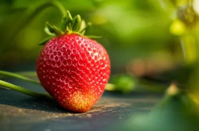 Illustration pornography - Image 1