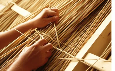 Illustration reeding - Image 1