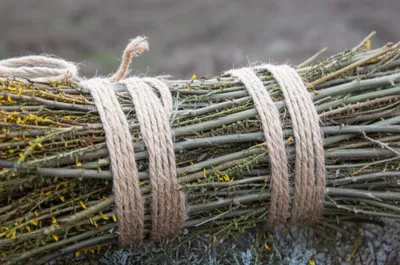 Illustration kid - Image 1