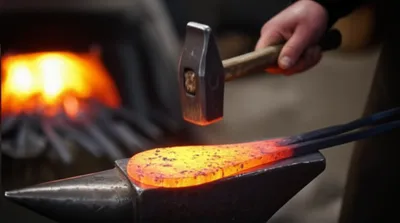 Illustration foliation - Image 1