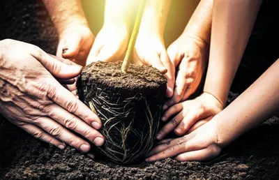 Illustration invests - Image 1