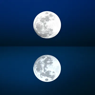 Illustration complements - Image 1