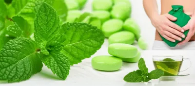 Illustration spearmint