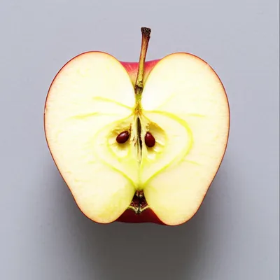 Illustration bisected - Image 1