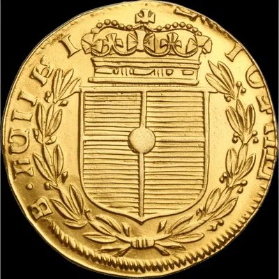 Illustration broad - Image 1