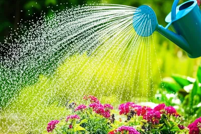 Illustration peeing - Image 1