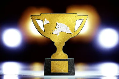 Illustration shams - Image 1