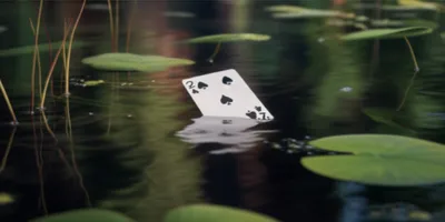 Illustration duck - Image 1