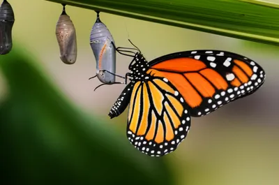 Illustration dynamic - Image 1