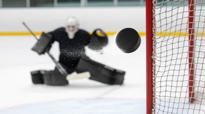 Illustration snipe - Image 1