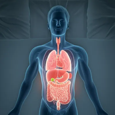 Illustration autonomic