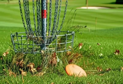 Illustration lie - Image 1