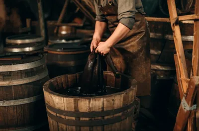 Illustration tanning - Image 1