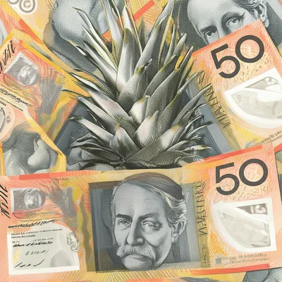 Illustration pineapples - Image 1