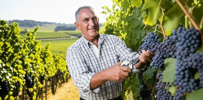 Illustration vigneron