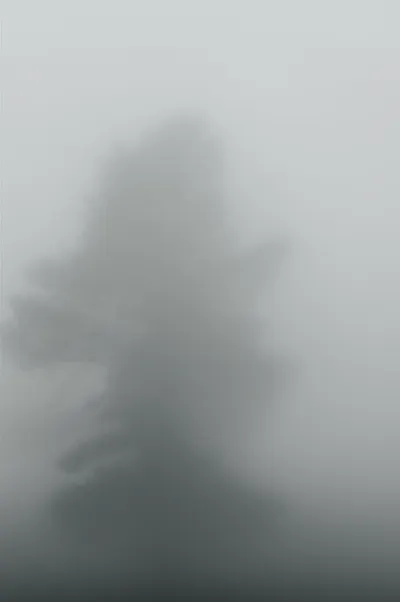 Illustration fog - Image 1