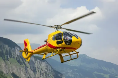 Illustration chopper - Image 1