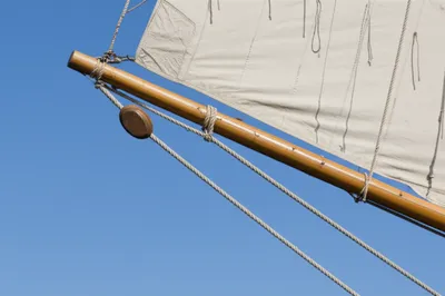 Hình ảnh minh họa latching - Ảnh 1