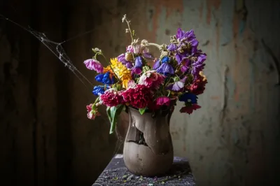 Illustration dates - Image 1