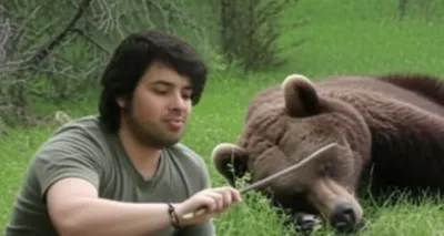 Illustration provokes