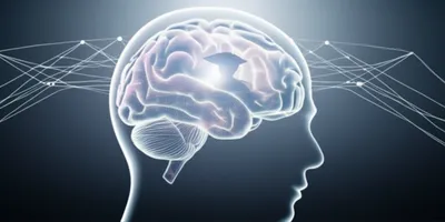 Illustration recall - Image 1