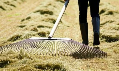 Illustration rake - Image 1