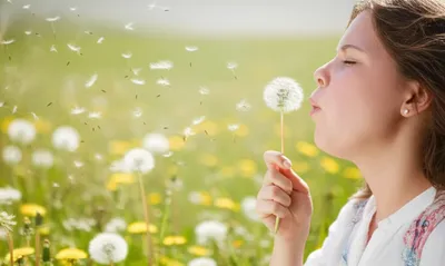 Illustration blowers