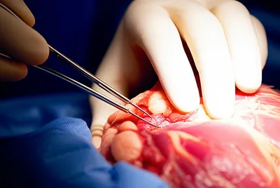 Illustration cleanly - Image 1