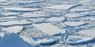 Illustration pks - Image 1