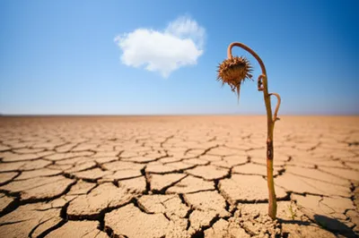 Illustration clung - Image 1