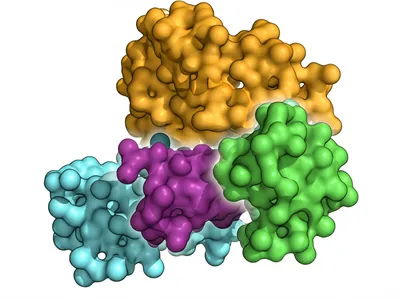 Illustration domain - Image 1