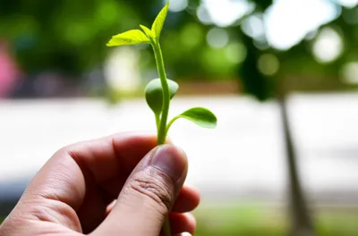 Illustration constraining - Image 1