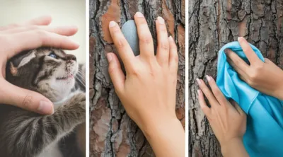 Illustration tactile - Image 1